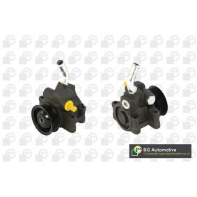 Acquista Pompa idraulica, sterzo da BGA PSP2340 a buon mercato per soli 160,10 €