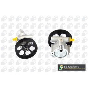 Acquista Pompa idraulica, sterzo da BGA PSP6310 a buon mercato per soli 134,26 €