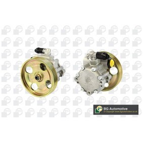 Servopumpe von BGA