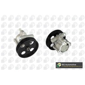 Servopumpe von BGA
