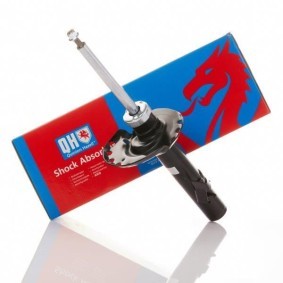 Stoßdämpfer QAG878133 von QUINTON HAZELL günstig für 92,62 € online kaufen