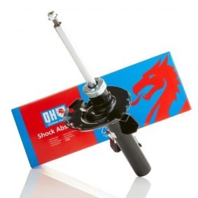 Stoßdämpfer QAG878134 von QUINTON HAZELL günstig für 92,62 € online kaufen