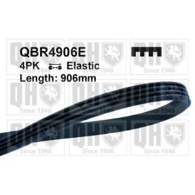 Achetez des Courroie Poly-V QUINTON HAZELL QBR4906E à prix pour 13,34 €
