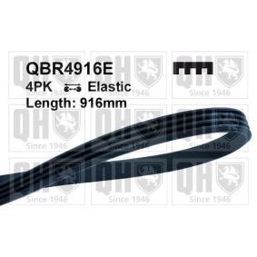 Compre Correia trapezoidal estriada da QUINTON HAZELL QBR4916E a um preço baixo por 15,21 €