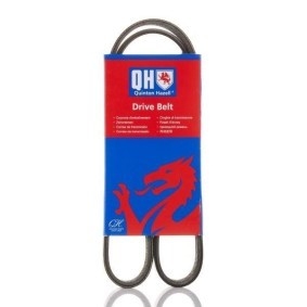 Compre Correia trapezoidal estriada da QUINTON HAZELL QBR61019E a um preço baixo por 17,96 €