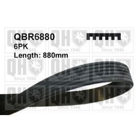 Compre Correia trapezoidal estriada da QUINTON HAZELL QBR6880 a um preço baixo por 14,89 €
