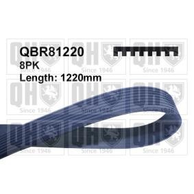 Compre Correia trapezoidal estriada da QUINTON HAZELL QBR81220 a um preço baixo por 14,28 €