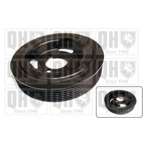 Comprar Polea de cigüeñal de QUINTON HAZELL QCD175 a bajo precio de 57,78 €