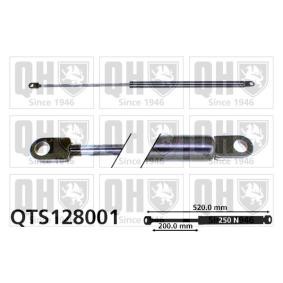 Heckklappendämpfer von QUINTON HAZELL QTS128001