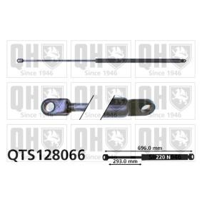 Achetez des Vérin de coffre QUINTON HAZELL QTS128066 à prix pour 20,44 €