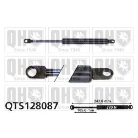 Heckklappendämpfer QTS128087