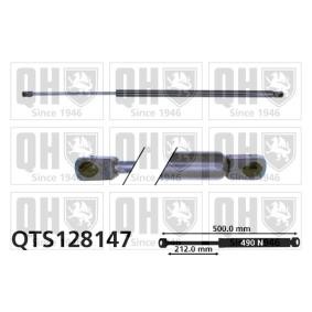Heckklappendämpfer QTS128147