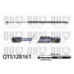 Achetez des Vérin de coffre QUINTON HAZELL QTS128161 à prix pour 21,30 €