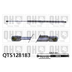 Heckklappendämpfer QTS128183