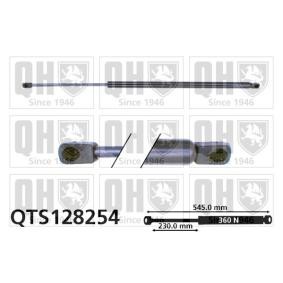 Achetez des Vérin de coffre QUINTON HAZELL QTS128254 à prix pour 20,75 €