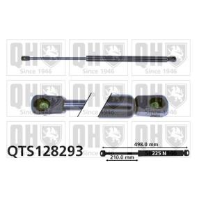 Achetez des Vérin de coffre QUINTON HAZELL QTS128293 à prix pour 32,64 €