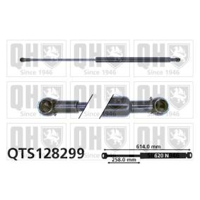 Heckklappendämpfer QTS128299 von QUINTON HAZELL günstig für 23,40 € online kaufen