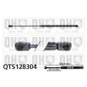 Heckklappendämpfer QTS128304