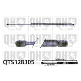 Heckklappendämpfer QTS128305