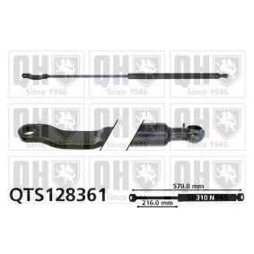Achetez des Vérin de coffre QUINTON HAZELL QTS128361 à prix pour 34,75 €