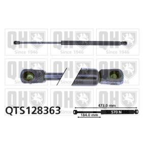 Achetez des Vérin de coffre QUINTON HAZELL QTS128363 à prix pour 20,73 €