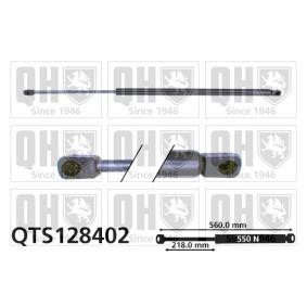 Achetez des Vérin de coffre QUINTON HAZELL QTS128402 à prix pour 21,30 €