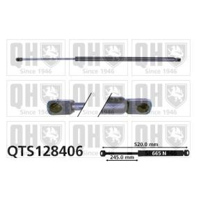 Achetez des Vérin de coffre QUINTON HAZELL QTS128406 à prix pour 21,70 €