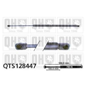 Heckklappendämpfer QTS128447