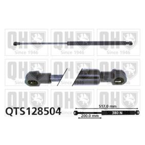 Achetez des Vérin de coffre QUINTON HAZELL QTS128504 à prix pour 23,35 €