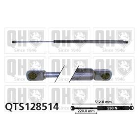 Achetez des Vérin de coffre QUINTON HAZELL QTS128514 à prix pour 20,75 €