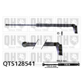 Heckklappendämpfer QTS128541 von QUINTON HAZELL günstig für 65,66 € online kaufen
