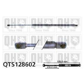 Achetez des Vérin de coffre QUINTON HAZELL QTS128602 à prix pour 21,30 €