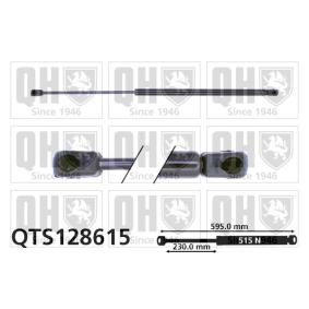 Heckklappendämpfer QTS128615 von QUINTON HAZELL günstig für 20,38 € online kaufen