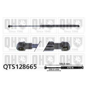 Achetez des Vérin de coffre QUINTON HAZELL QTS128665 à prix pour 28,08 €
