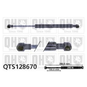 Achetez des Vérin de coffre QUINTON HAZELL QTS128670 à prix pour 29,16 €