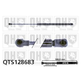Achetez des Vérin de coffre QUINTON HAZELL QTS128683 à prix pour 20,75 €