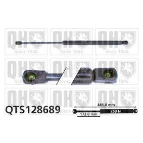 Achetez des Vérin de coffre QUINTON HAZELL QTS128689 à prix pour 20,19 €