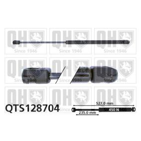 Achetez des Vérin de coffre QUINTON HAZELL QTS128704 à prix pour 19,75 €
