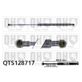 Achetez des Vérin de coffre QUINTON HAZELL QTS128717 à prix pour 32,96 €