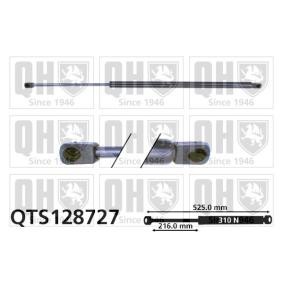 Achetez des Vérin de coffre QUINTON HAZELL QTS128727 à prix pour 25,79 €