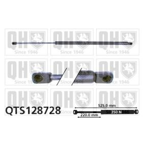 Achetez des Vérin de coffre QUINTON HAZELL QTS128728 à prix pour 30,24 €
