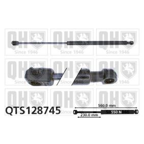 Achetez des Vérin de coffre QUINTON HAZELL QTS128745 à prix pour 23,35 €