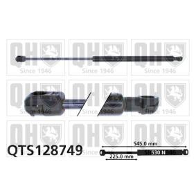 Achetez des Vérin de coffre QUINTON HAZELL QTS128749 à prix pour 40,16 €