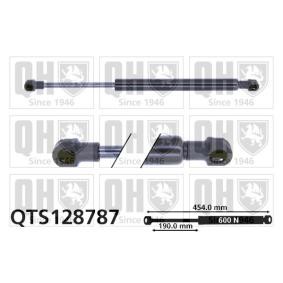 Achetez des Vérin de coffre QUINTON HAZELL QTS128787 à prix pour 25,80 €