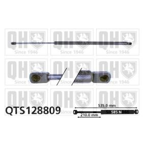 Achetez des Vérin de coffre QUINTON HAZELL QTS128809 à prix pour 23,35 €