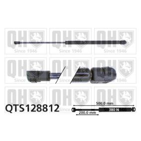 Achetez des Vérin de coffre QUINTON HAZELL QTS128812 à prix pour 21,30 €