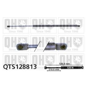 Achetez des Vérin de coffre QUINTON HAZELL QTS128813 à prix pour 23,35 €