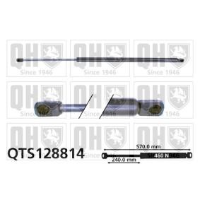 Achetez des Vérin de coffre QUINTON HAZELL QTS128814 à prix pour 21,30 €