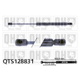 Motorhaubendämpfer QTS128831