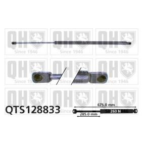 Motorhaubendämpfer QTS128833